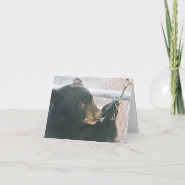 Carte de note de CUB d'ours - chaîne (Devant)