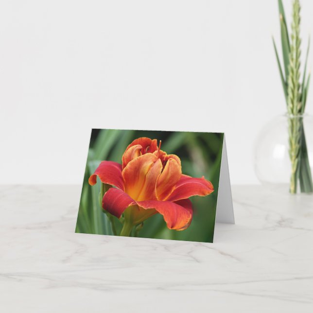 Carte de note de Daylily (Devant)