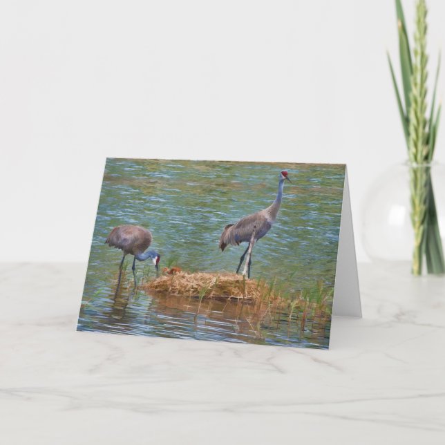 Carte de note de famille de grue de Sandhill (Devant)