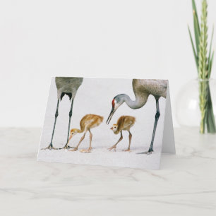 Carte de note de Famiy de grue de Sandhill