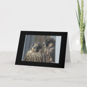 Carte de note de faucon