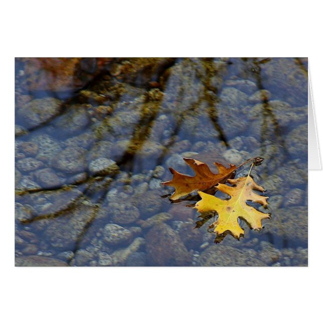 Carte de note de feuilles d'automne sous la pluie (Devant horizontal)