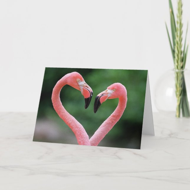 Carte de note de Flamants roses (Devant)