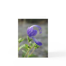 Carte de note de fleur sauvage