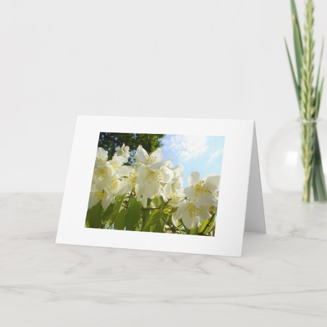 Carte de note de fleurs Jasmine (Devant)