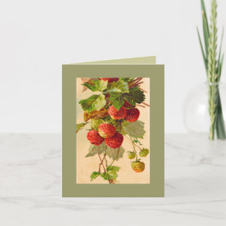 CARTE de NOTE de fraises de Catherine Klein DKGR