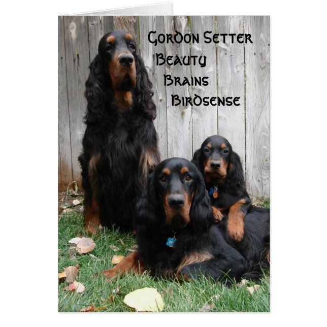 Carte de note de Gordon Setter Generations (Devant)