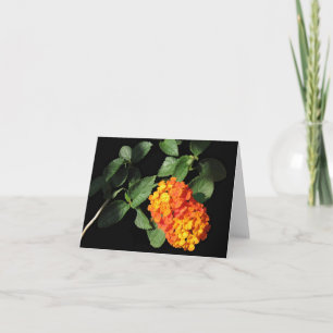 Carte de note de Lantana
