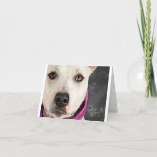 Carte de note de LDDR