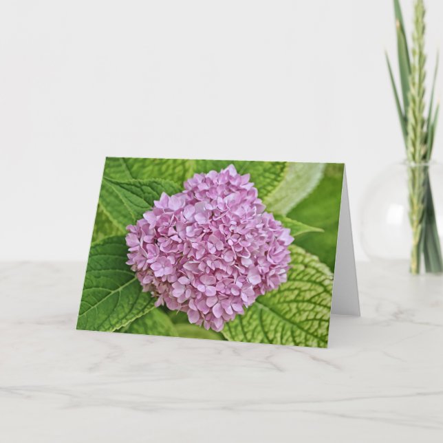 Carte de note de l'Hydrangea Puff Lavender Purple (Devant)