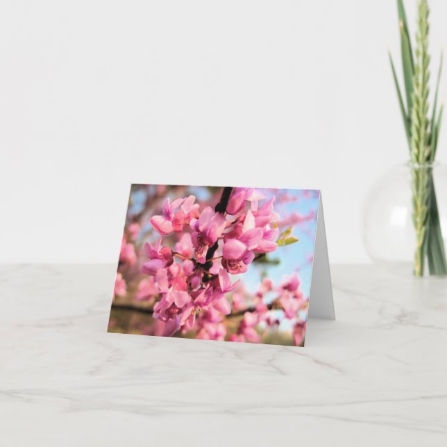 Carte de note de l'Oklahoma Redbud (Devant)