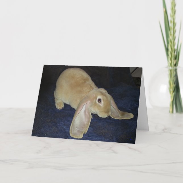 Carte de note de Lop de velventine (Devant)
