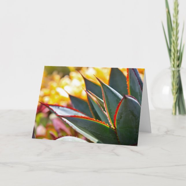 Carte de note "de lueur bleue" d'agave par Debra (Devant)