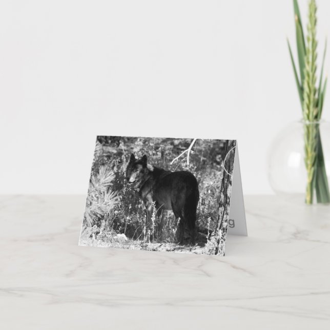 Carte de note de paquet de dent de scie (Devant)