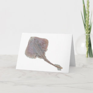 Carte de note de patinage