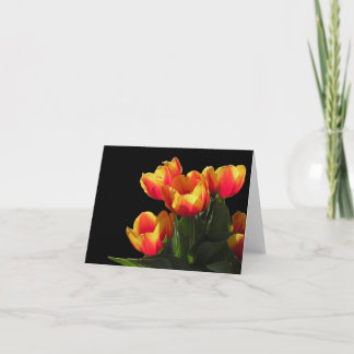 Carte de note de tulipe de Rembrandt