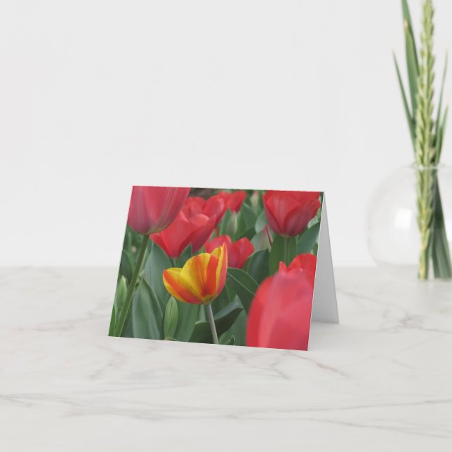 Carte de note de tulipes de ressort (Devant)