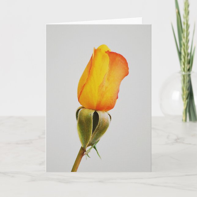 Carte de note d'or Orange Rose Bud Art (Devant)