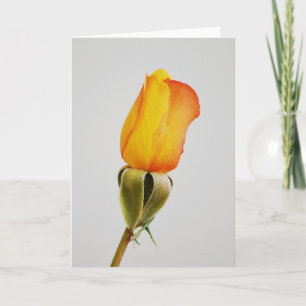 Carte de note d'or Orange Rose Bud Art
