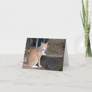 Carte de note d'Orange Tabby Cat Thank you