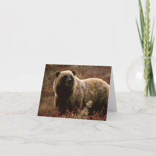 Carte de note d'ours gris