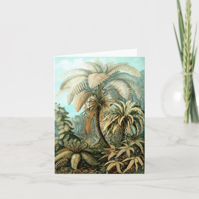 Carte de note Ernst Haeckel's Filicinae (Tree Fern (Devant)