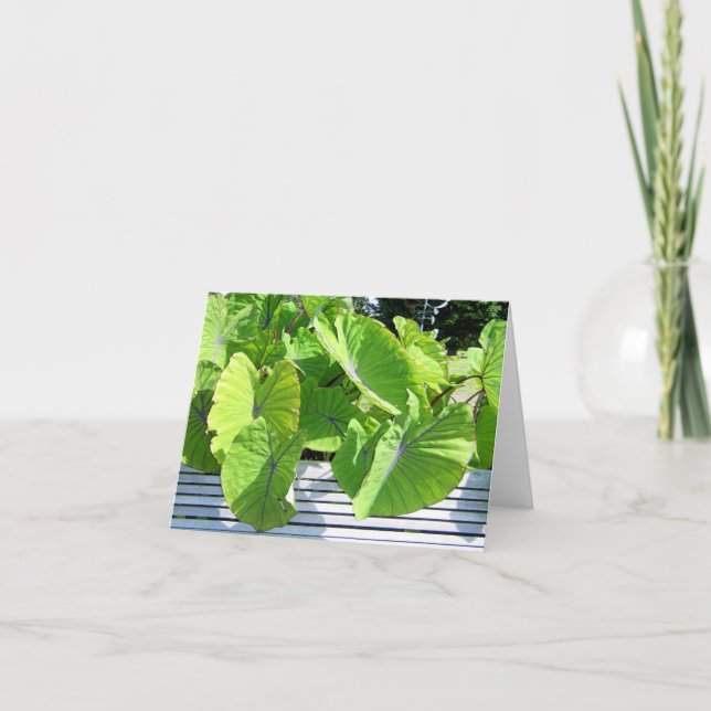 Carte de note Feuille botanique (Devant)