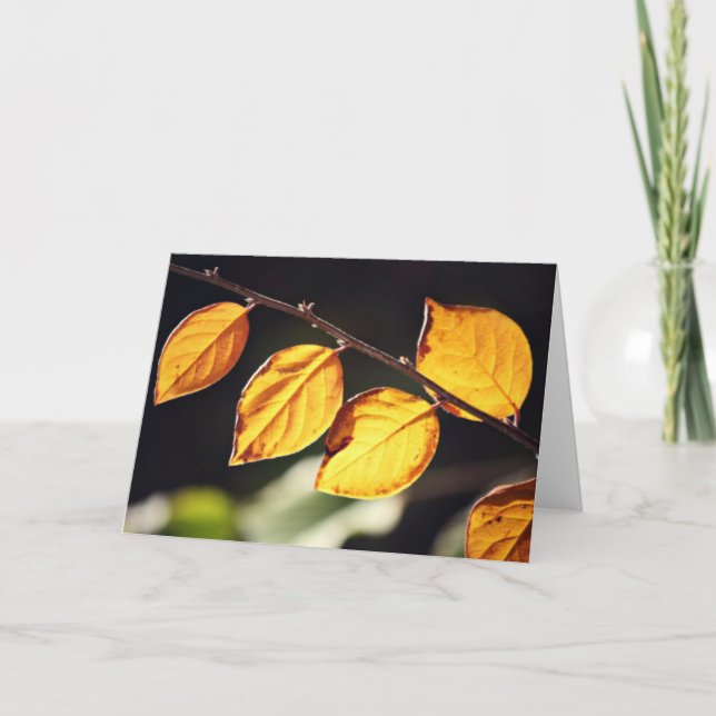 Carte de note Feuilles Automnes Jaunes (Devant)