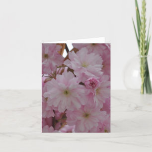 Carte de note : Fleurs de cerisier