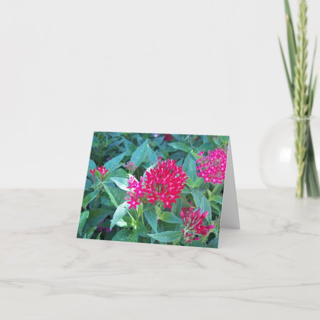 Carte de note Fleurs roses (Devant)