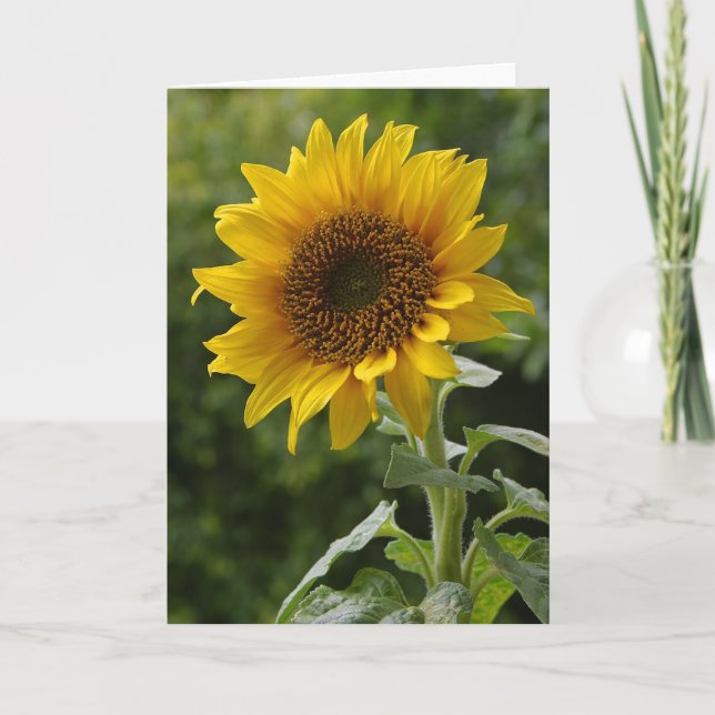 Carte de note florale de tournesol (Devant)
