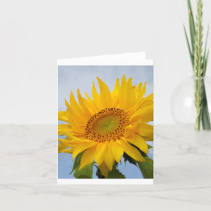 Carte de note florale de tournesol