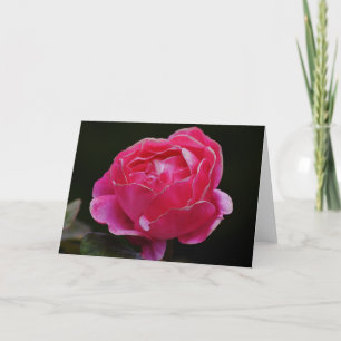 Carte de note florale Rose de bord rose blanc