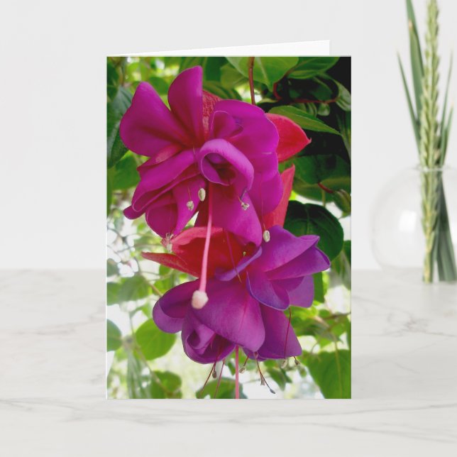 Carte de note Fuschia (Devant)