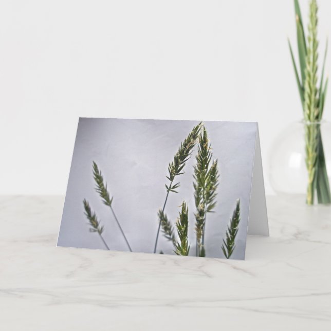 Carte de note Grass Seeds (Devant)