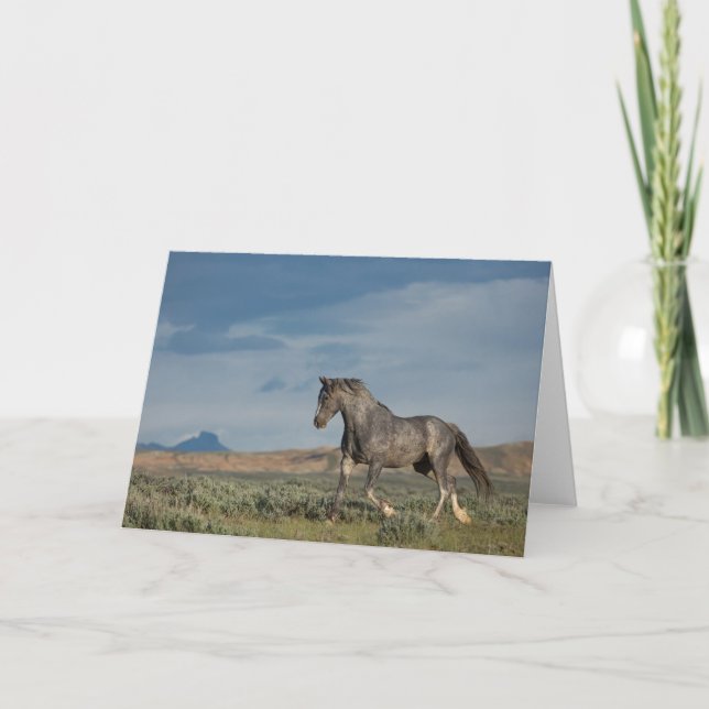 Carte de note "Grey Ghost" (Devant)