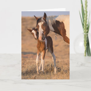 Carte de note "Hello Baby"