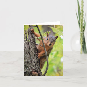Carte de note Hello There