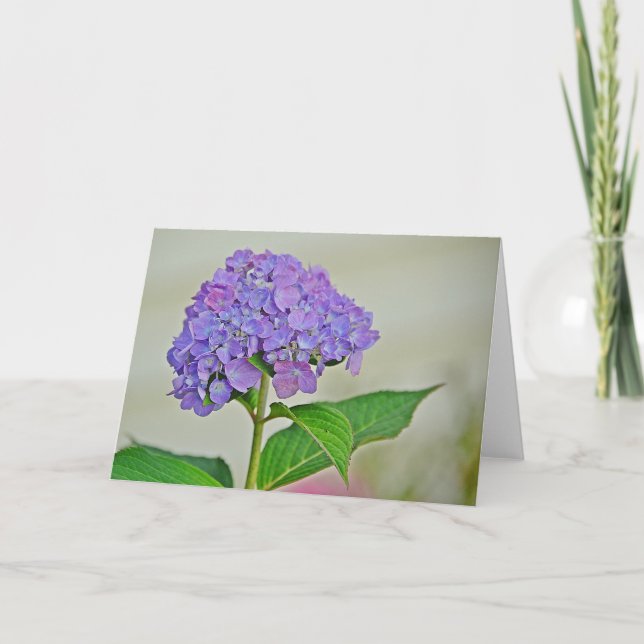Carte de note Hydrangea (Devant)
