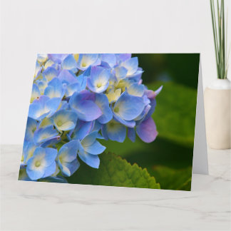 Carte de note Hydrangea