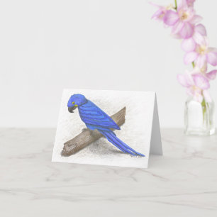 Carte de note Inspiration Macaw