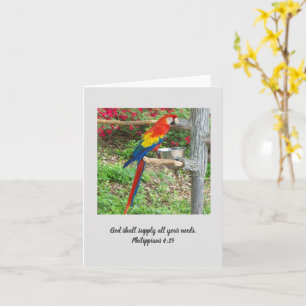 Carte de note Inspiration Parrot