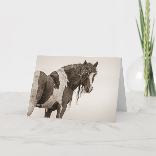 Carte de note "Invincible" (Devant)