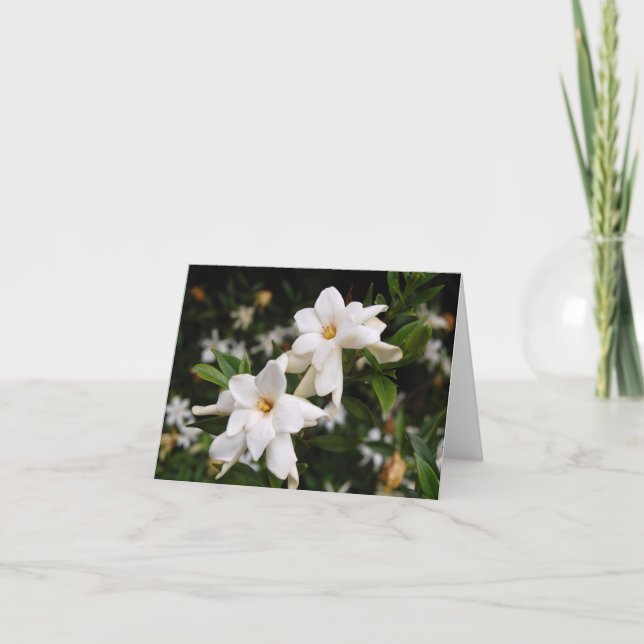 Carte de note Jasmine (Devant)