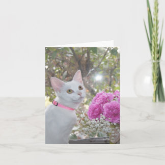 Carte de note jolie Kitten