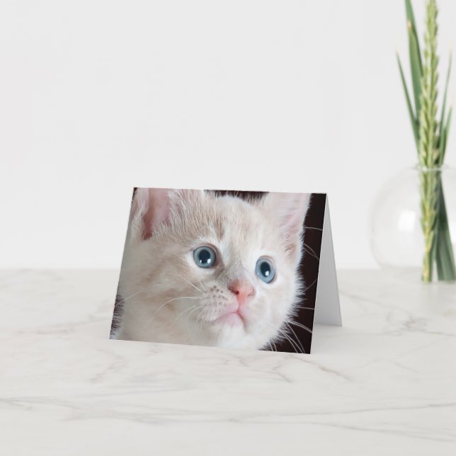 Carte de note Kitten (Devant)