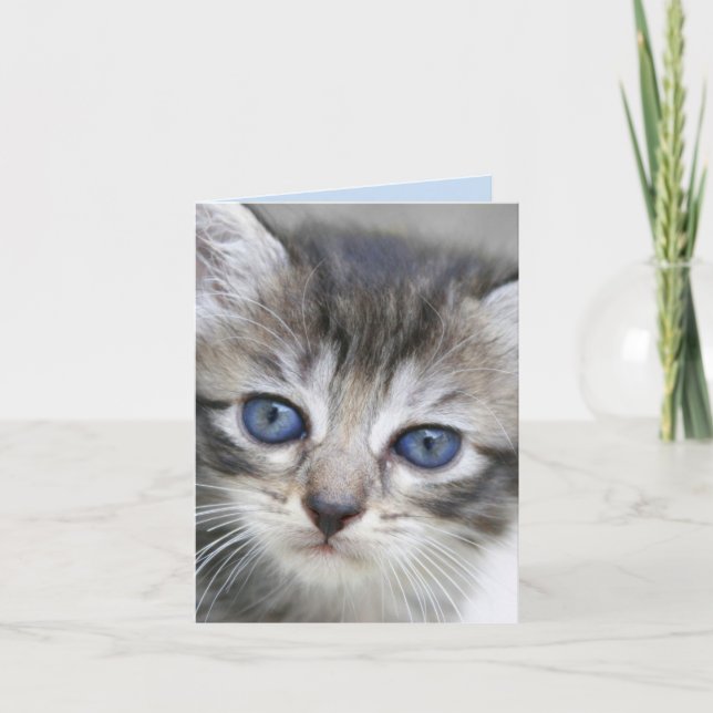 Carte de note Kitten (Devant)