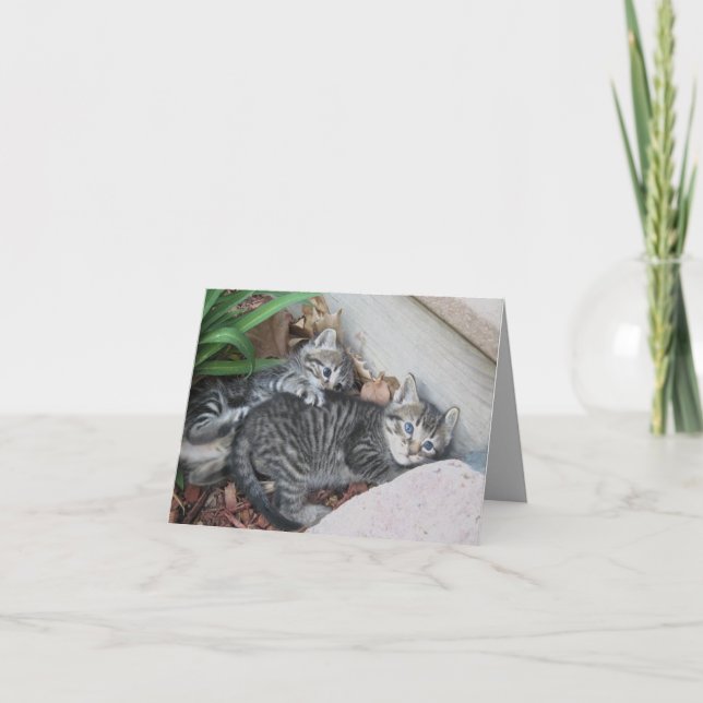 Carte de note Kittens (Devant)