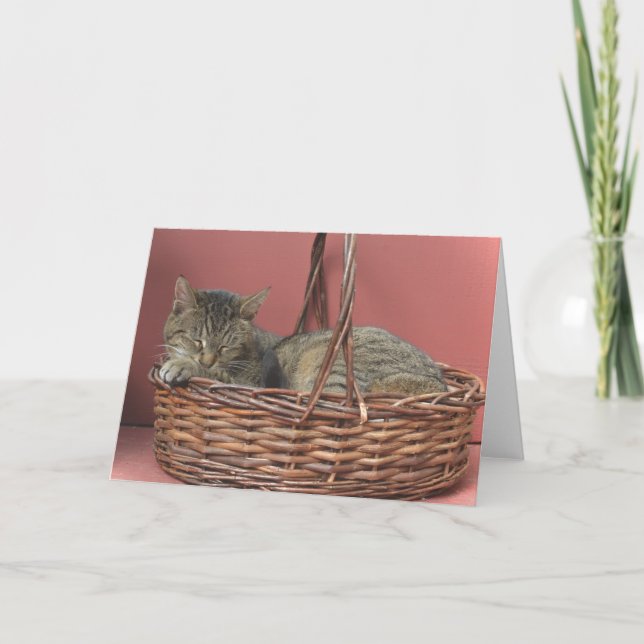 Carte de note Kitty Dormir (Devant)