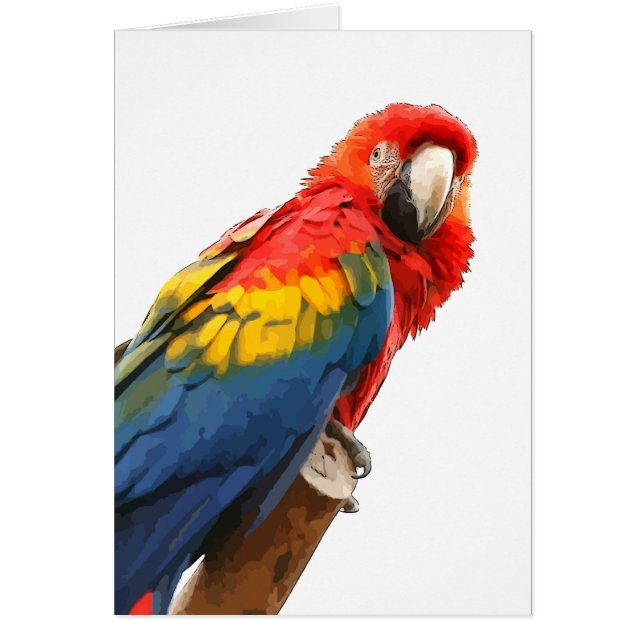 Carte de note Macaw Scarlet (Devant)